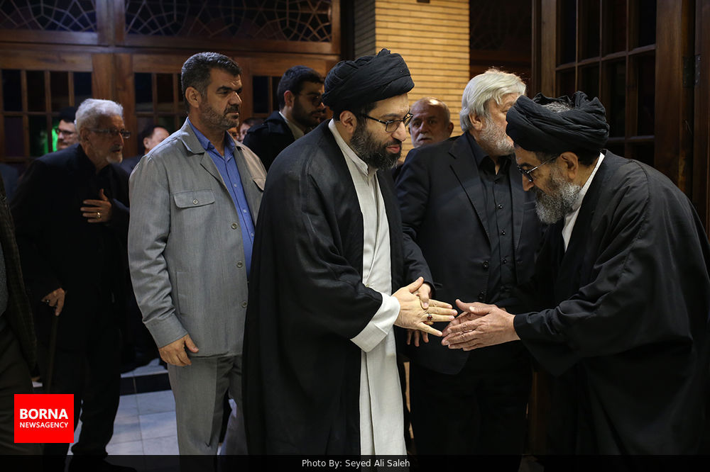 سید میثم خامنه ای