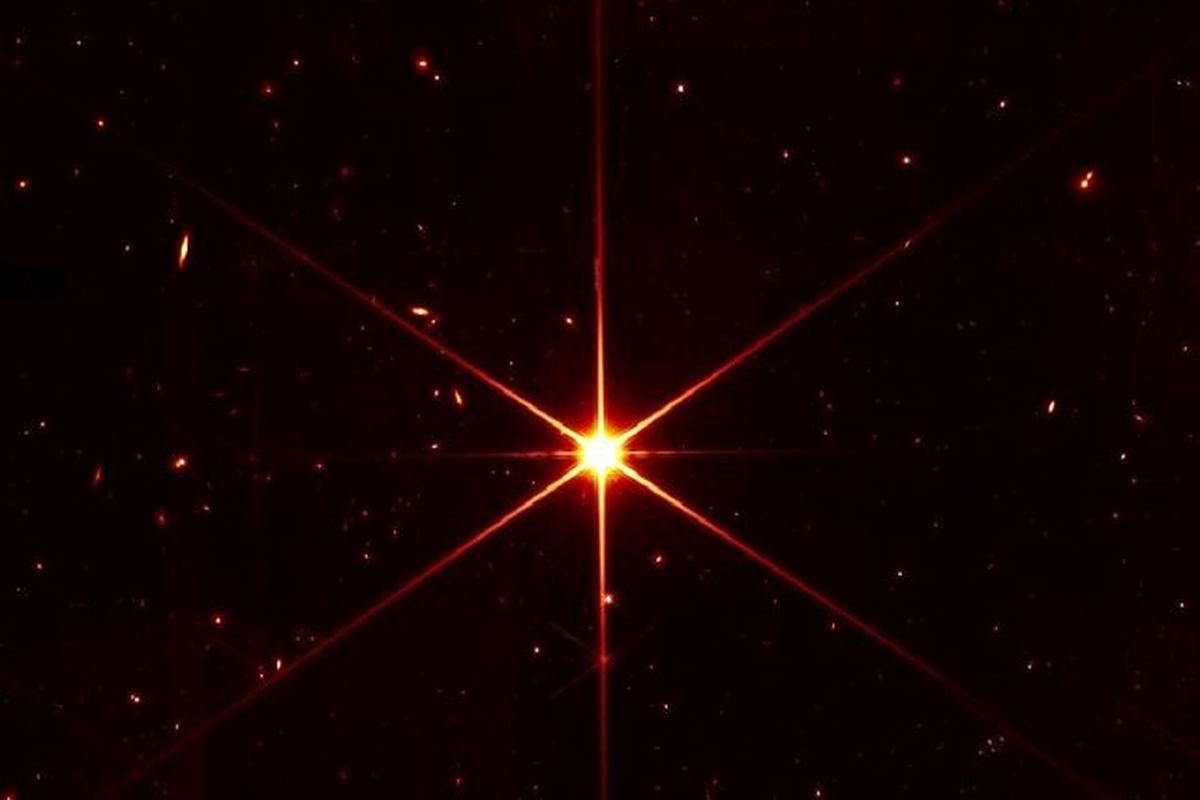 تصویری جعلی از یک ستاره که سوسیس از آب در آمد!+عکس