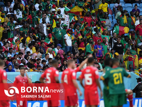 دیدار تیم های فوتبال سوئیس - کامرون