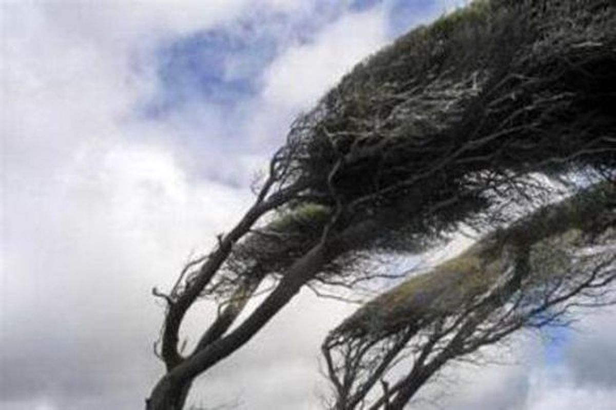 هشدار سطح زرد وزش باد شدید سازمان هواشناسی برای ۱۲ استان کشور 
