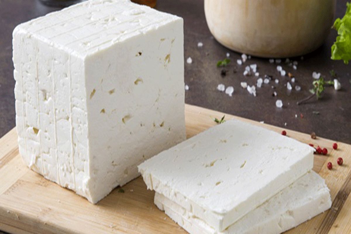 در طب سنتی پنیر تازه بهتر است یا پنیر کهنه؟