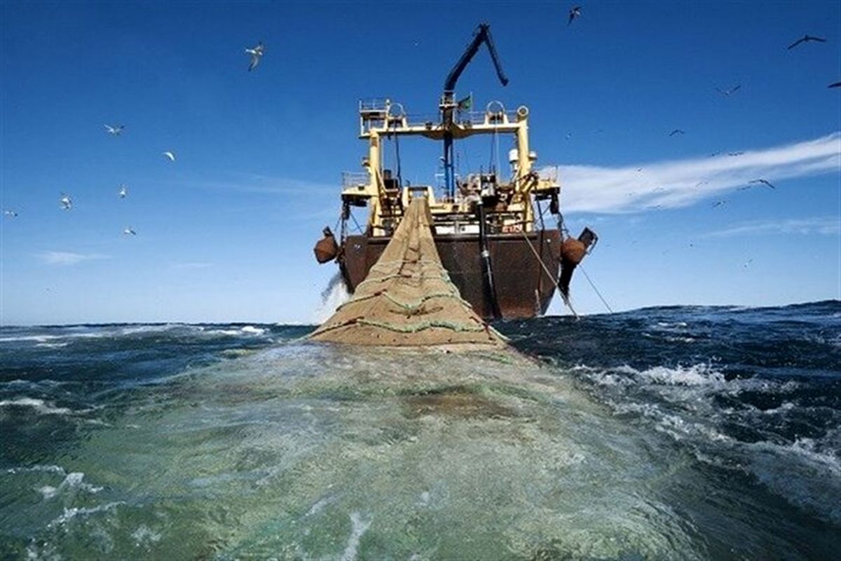 اجرای دریا بست، کمک به حفظ ذخایر آبزیان و پایداری صیادی است