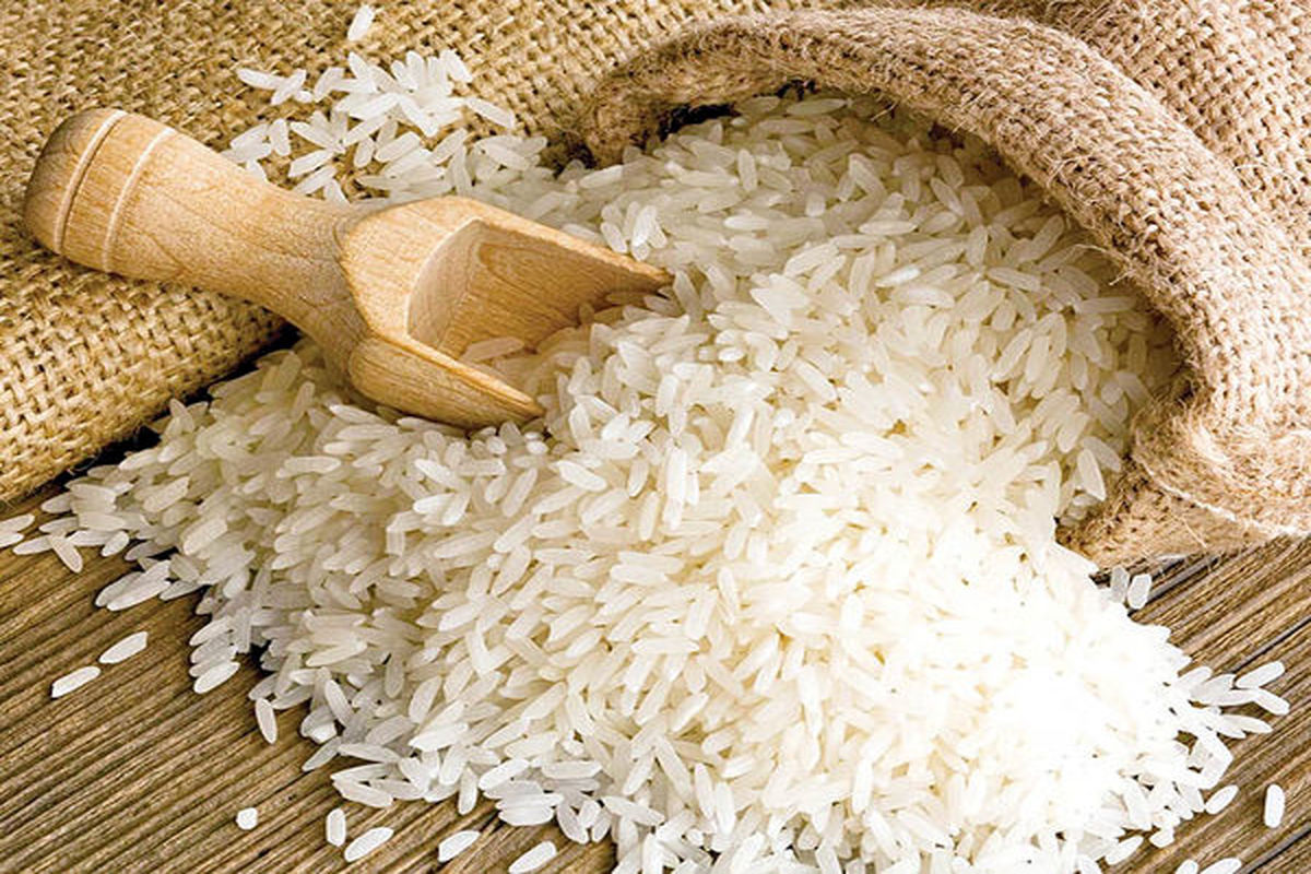 سهم ۲۰ درصدی شرکت بازرگانی دولتی ایران در تأمین برنج وارداتی 