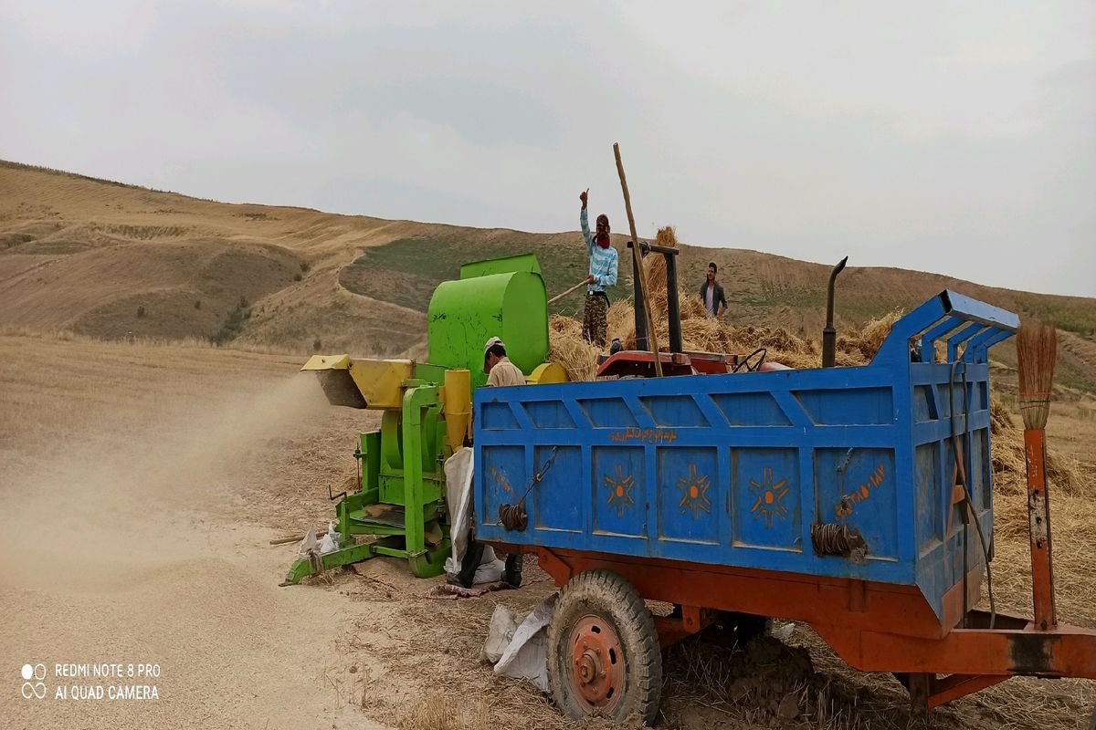 
12 میلیون وپانصدهزار لیتر سوخت بخش کشاورزی در منطقه خراسان شمالی توزیع شد

