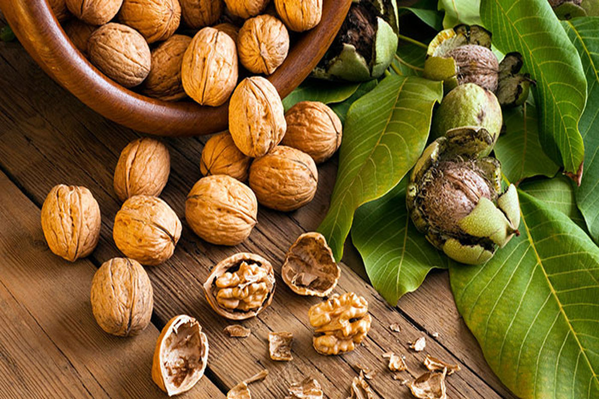 خواص معجزه آسای گردو که از آن بیخبرید