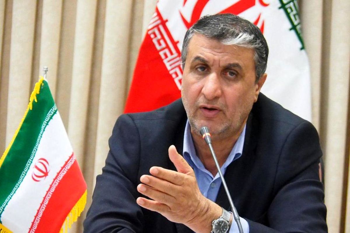 رییس سازمان انرژی اتمی ایران: تلاش دولت به نتیجه رسیدن زودهنگام طرح‌های نطنز و بادرود است