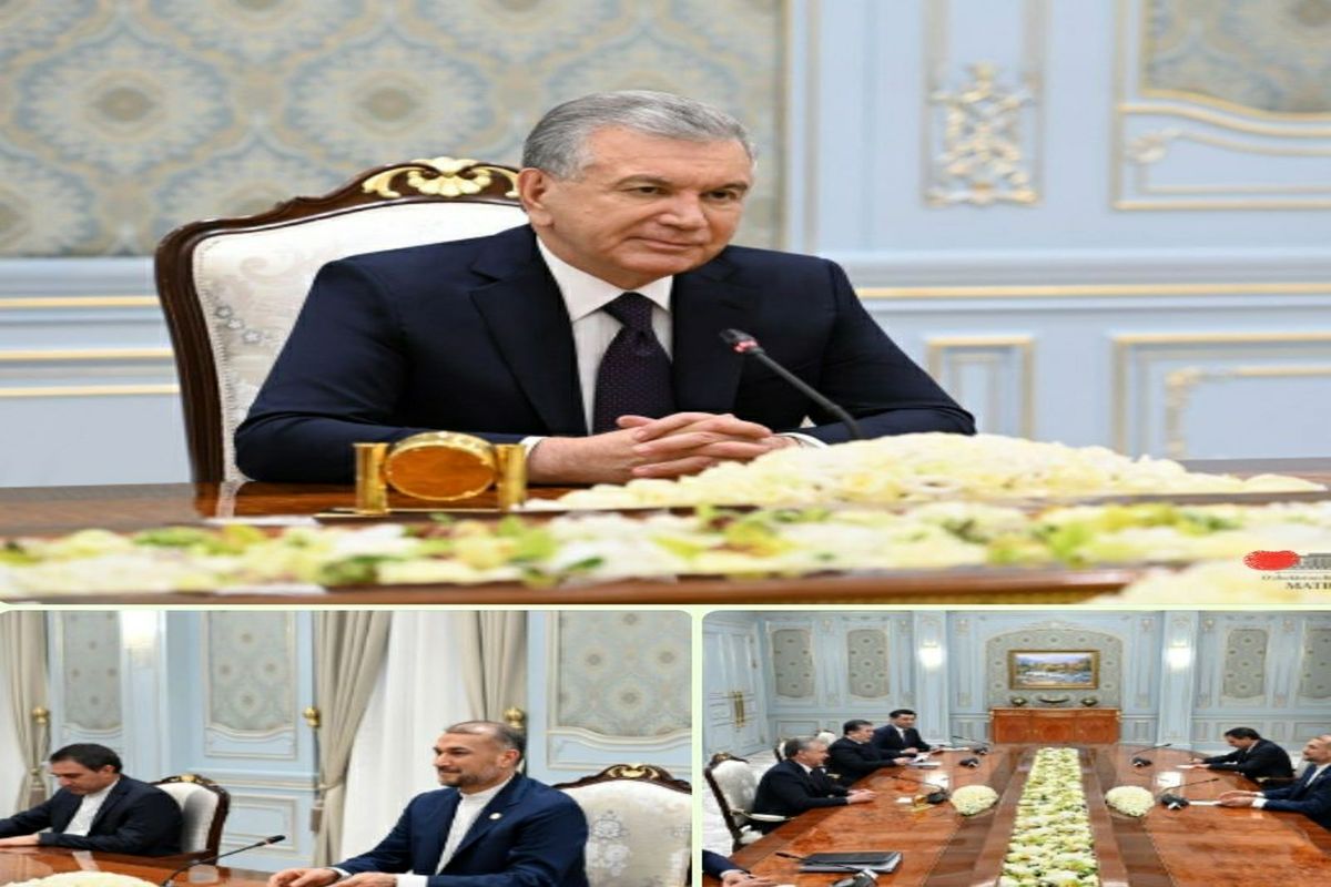 دیدار امیرعبداللهیان و رئیس‌جمهور ازبکستان