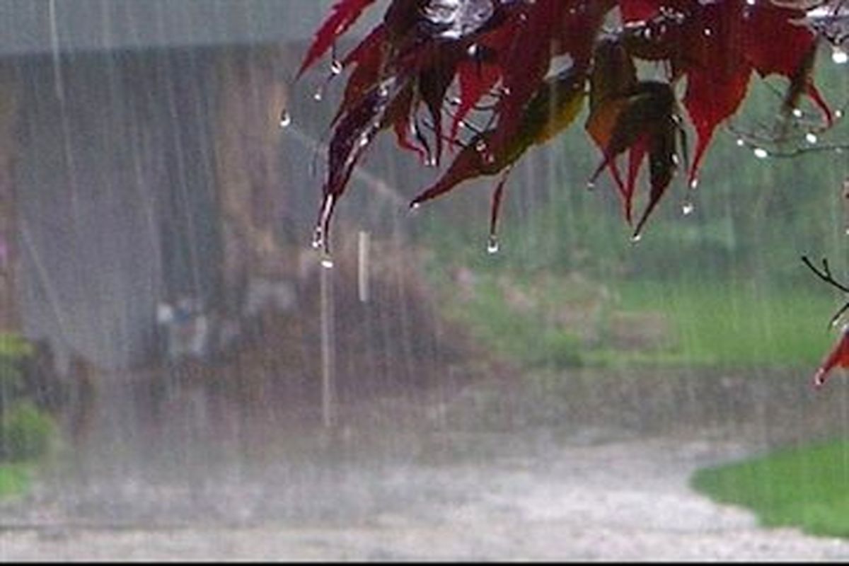 بارش باران، رعد و برق و باد شدید در استان‌های شمالی/ بارش در استان‌های جنوبی تا روز دوشنبه