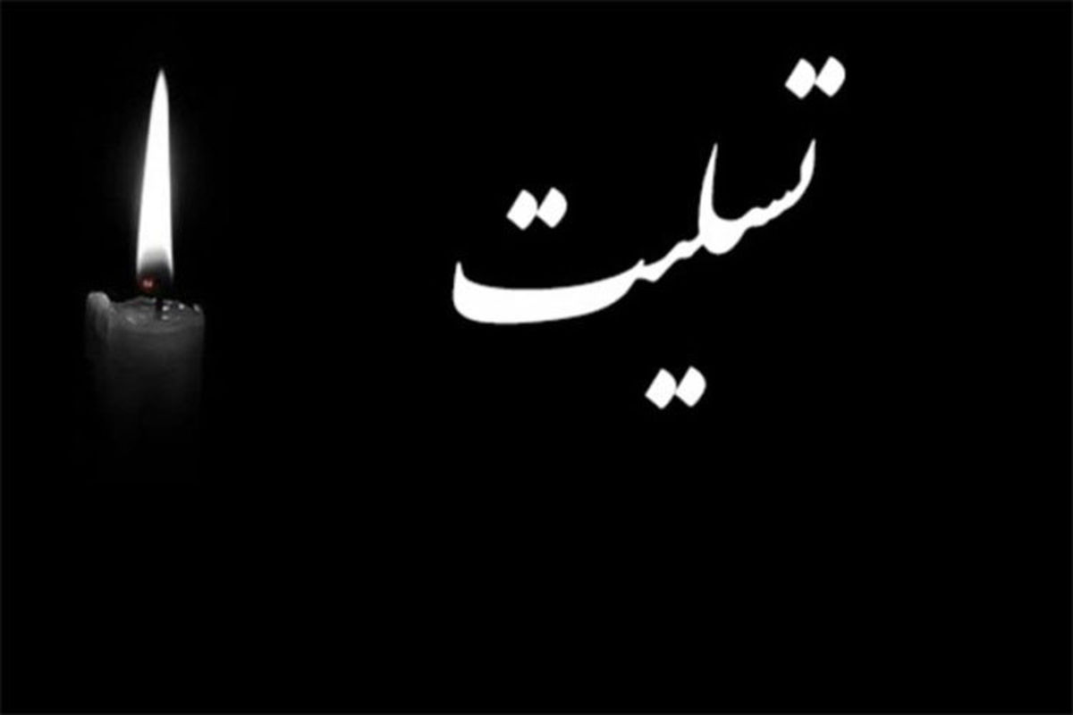 پیام تسلیت مشاور رئیس جمهور در پی درگذشت «آیت الله حاج شیخ محمد ناصری»